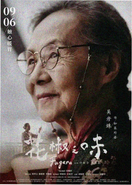 555电影纸飞机航线货架卡片封面